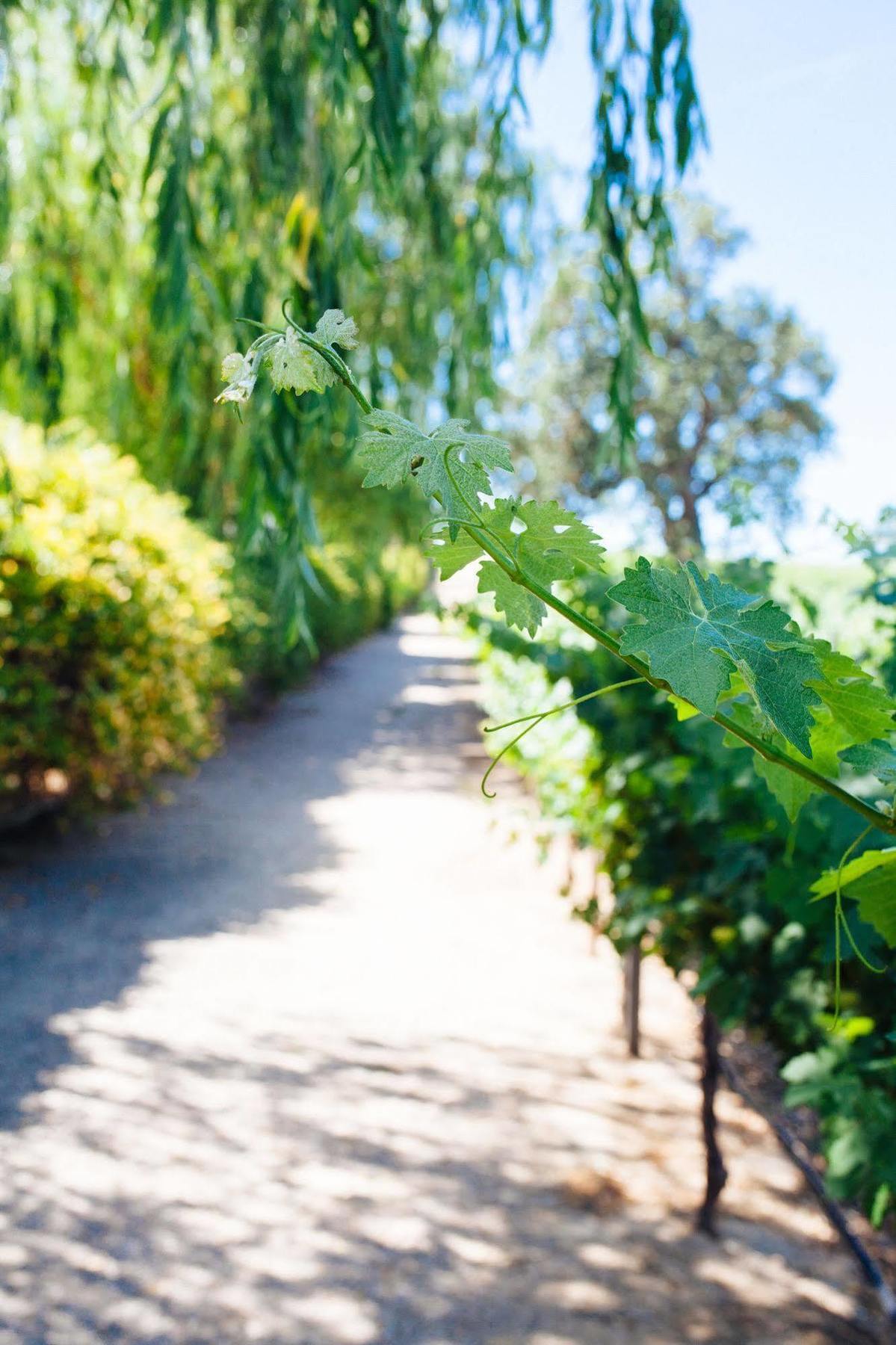 Sun Outdoors Central Coast Wine Country Paso Robles Exterior photo